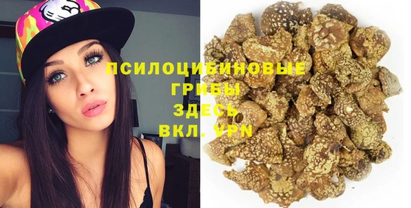 не бодяженный Верхний Тагил
